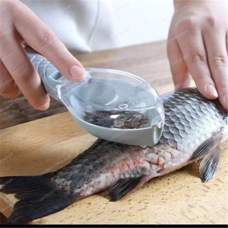 Kitchen Gadgets Popular - Popolare artefatto raschiante per squame di