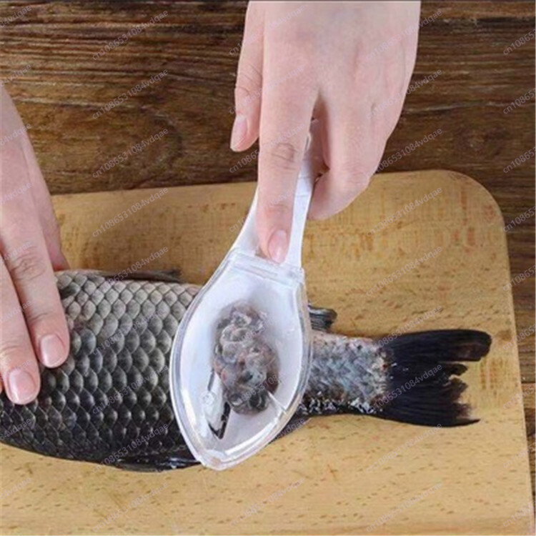 Popolare artefatto raschiante  - Kitchen Gadgets Popular recensione e prezzo
