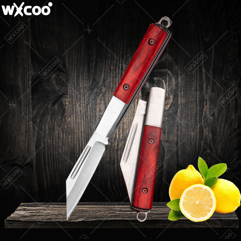 Coltello tascabile in acciaio  - Kitchen Gadgets Pakistan recensione e prezzo