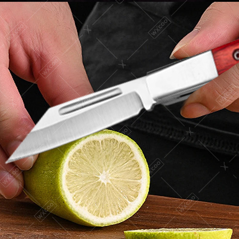 Coltello tascabile in acciaio  - Kitchen Gadgets Pakistan recensione e prezzo