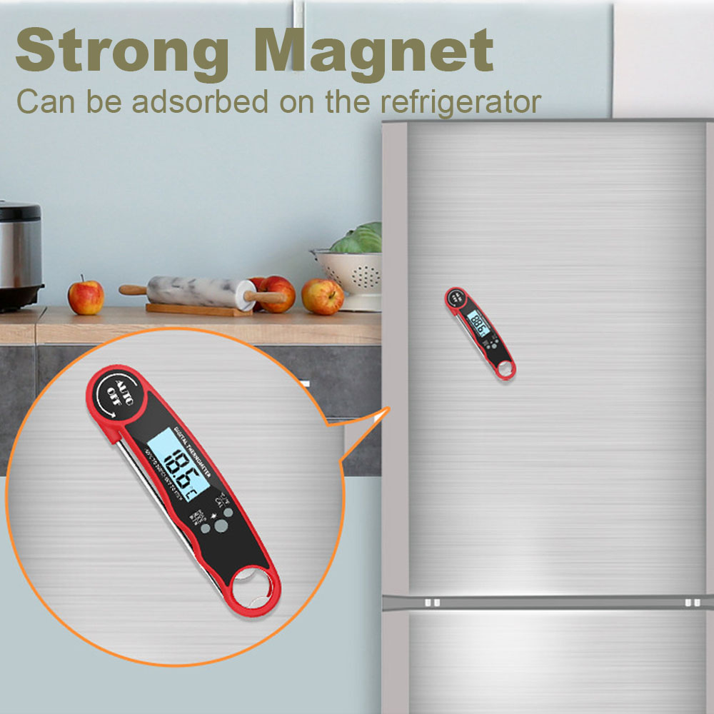 Termometro Digitale per Carne  - Kitchen Gadgets Essential recensione e prezzo